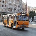 Vettura 3441<br>Piazza Verdi