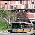 Vettura 8854<br>Via Maritano